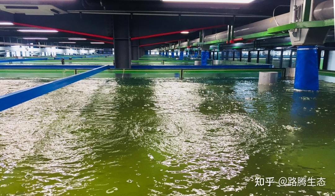 是国内专业化程度较高的环保高新技术企业之一