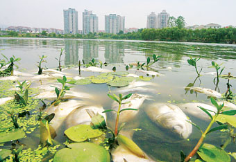 并在油气田采出水提锂方面取得了成功运行案例