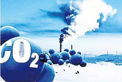 中新网2月18日电（魏晨曦） 今日